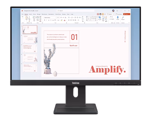 Lenovo ThinkVision E24-40 23.8-inch FHD Monitor